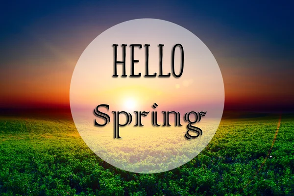 Hello spring and green field — Stock Photo, Image