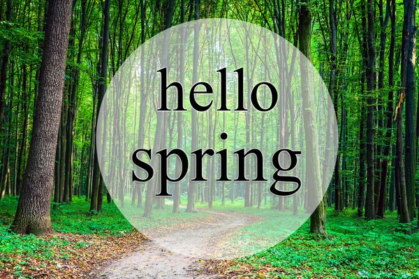 Hello spring lettering and forest — Stock Photo, Image