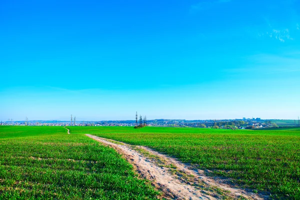 Piękne zielone pole — Zdjęcie stockowe