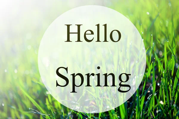 Hello Spring písmo — Stock fotografie