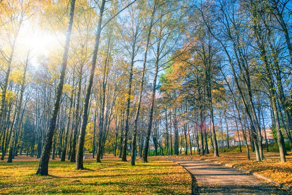 Journée ensoleillée dans le parc d'automne — Photo