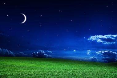 yeşil gece alan