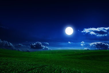 Gece gökyüzü yeşil alan ile