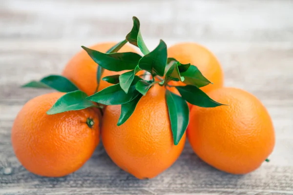 Frische Orangen mit Blättern — Stockfoto