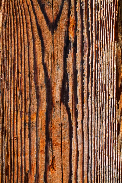 Textura de madera de pared —  Fotos de Stock