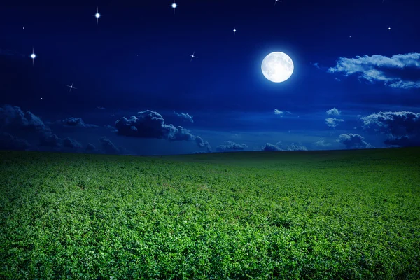 Campo notte verde — Foto Stock