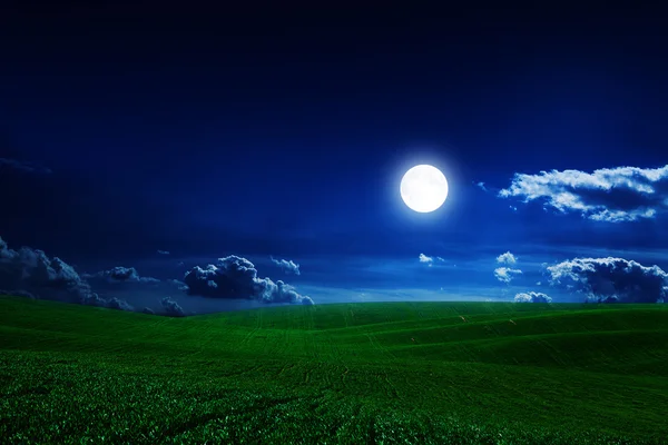 Cielo notturno con campo verde — Foto Stock