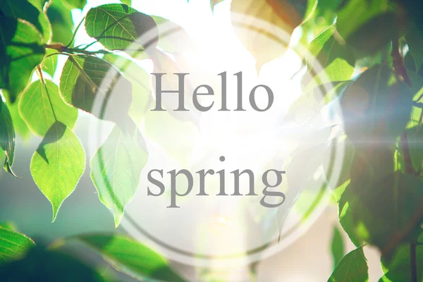 Hello spring inscription — Stock Photo, Image