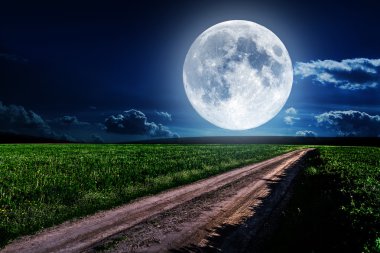 yeşil gece alan