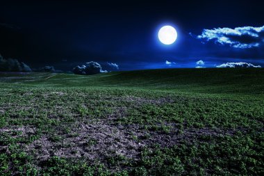 yeşil gece alan