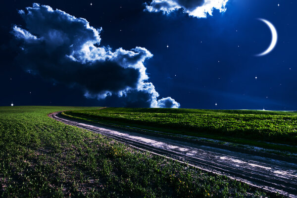 Night sky with green field, stars and moon on background