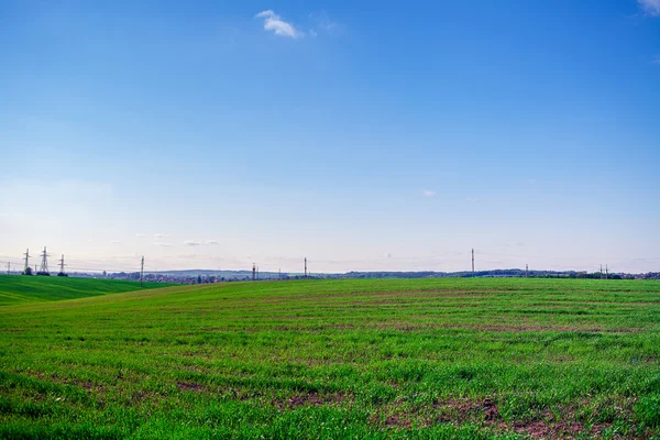 Morning green field — Stock Photo, Image