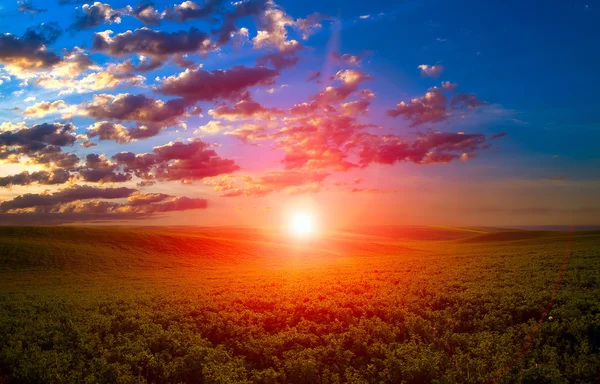 Beautiful Sunset on field — Stock Photo, Image