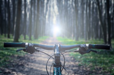 ormandaki dağ bisikleti