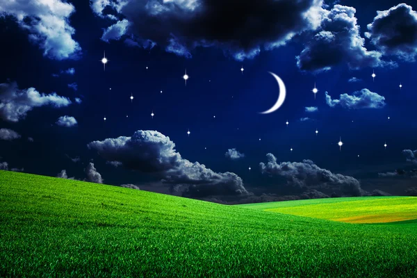 绿色的田野，在夜间 — 图库照片