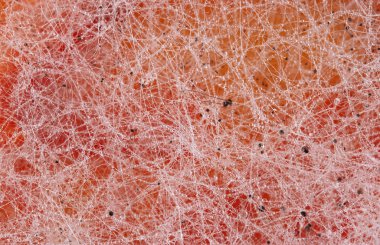 Biber-biber bitkisel yağ içinde kalıp