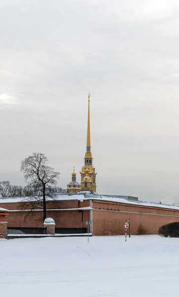 Vinter Sankt Petersburg Utsikt Över Petrus Och Pauls Katedral Från — Stockfoto