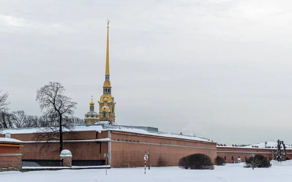 Vinter Sankt Petersburg Utsikt Över Petrus Och Pauls Katedral Från — Stockfoto