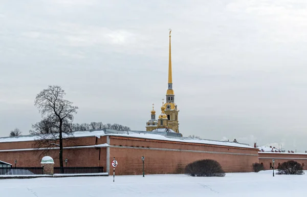 Vinter Sankt Petersburg Utsikt Över Petrus Och Pauls Katedral Från — Stockfoto