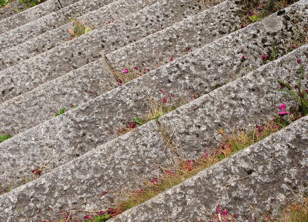 Alte Steintreppe — Stockfoto