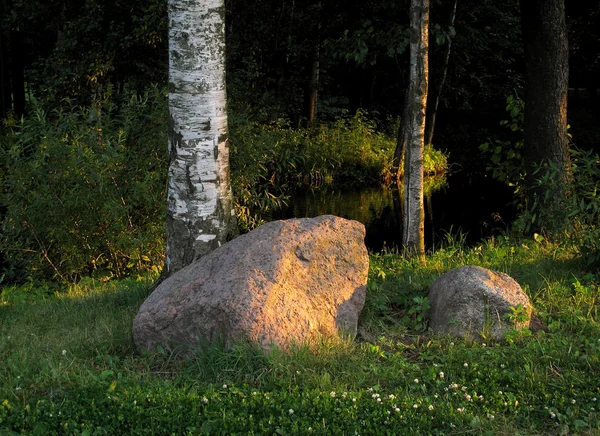 Widok na park — Zdjęcie stockowe