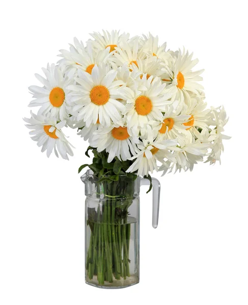 Fresh flowers — Stock Photo, Image