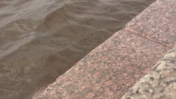 Wasser der Neva — Stockvideo