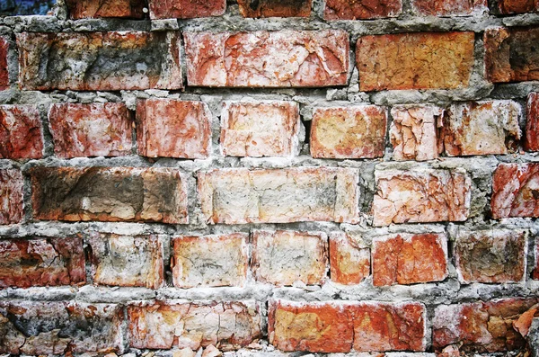 Brick Wall texture — Stock Photo, Image