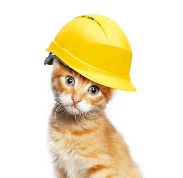 Red cat with helmet — Stock Photo, Image