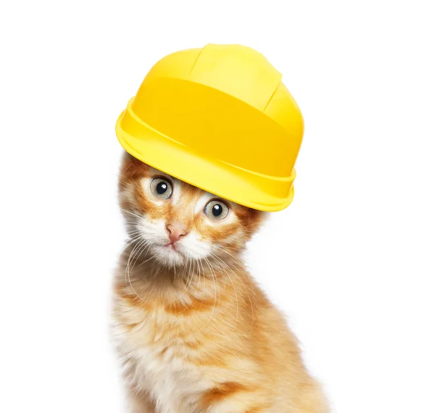 Red cat with helmet — Stock Photo, Image