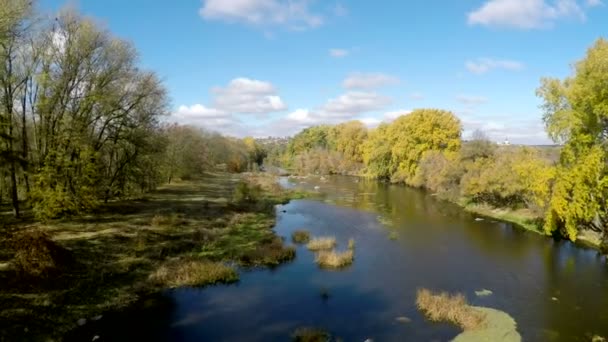 Survol de la rivière et des arbres 