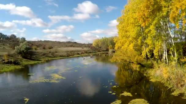 Політ над річкою і деревами — стокове відео