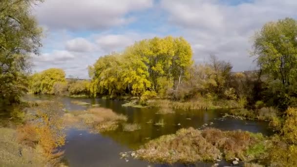 Vlucht over de rivier en de bomen — Stockvideo