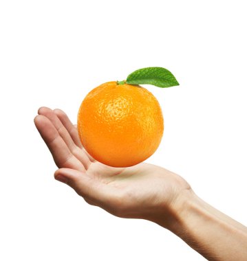 Elinde yaprak olan turuncu, beyaz arka planda izole.