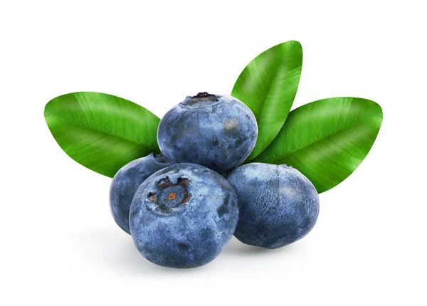 Blueberries with leafs — Stock Photo, Image