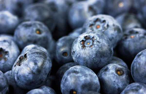 Fresh blueberries background — Stock Photo, Image