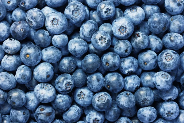 Fresh blueberries background — Stock Photo, Image