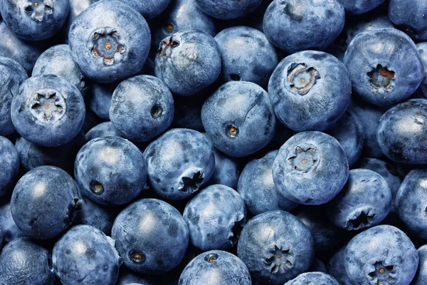 新鲜蓝莓背景 — 图库照片