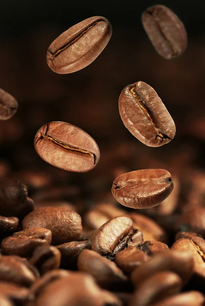 Granos de café tostados —  Fotos de Stock