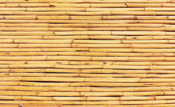 Textura madera — Foto de Stock