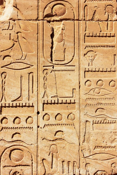 Old Egypt Hieroglyphs — Stock Photo, Image