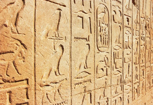 Old Egypt Hieroglyphs — Stock Photo, Image