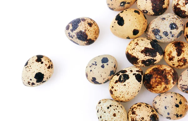 Quail Eggs — Stock Photo, Image