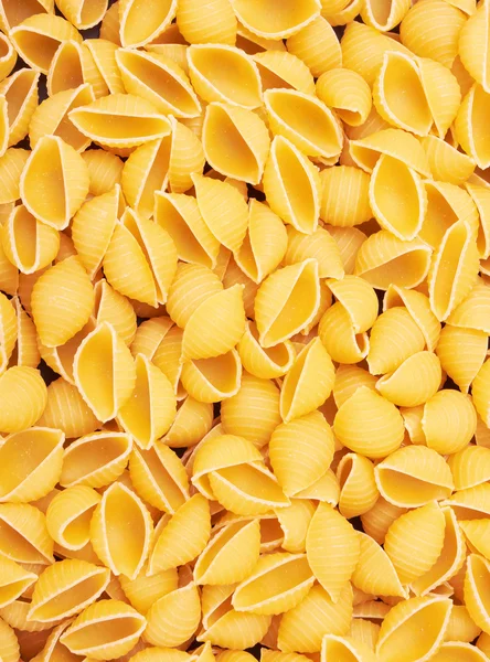 Conchiglioni macarrão italiano fundo — Fotografia de Stock