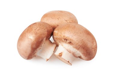champignon mantarı