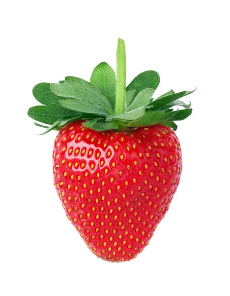 Erdbeeren — Stockfoto