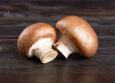 Champignon Mushroom clipart