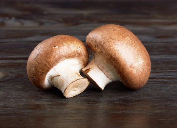 Champignon-Pilz — Stockfoto