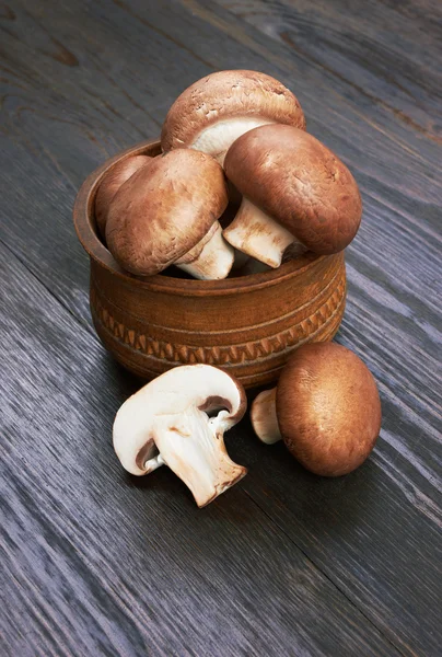 Champignon-Pilz — Stockfoto