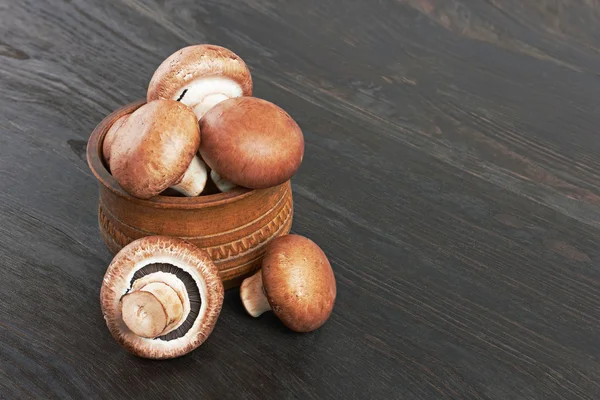 Champignon, paddenstoel — Stockfoto